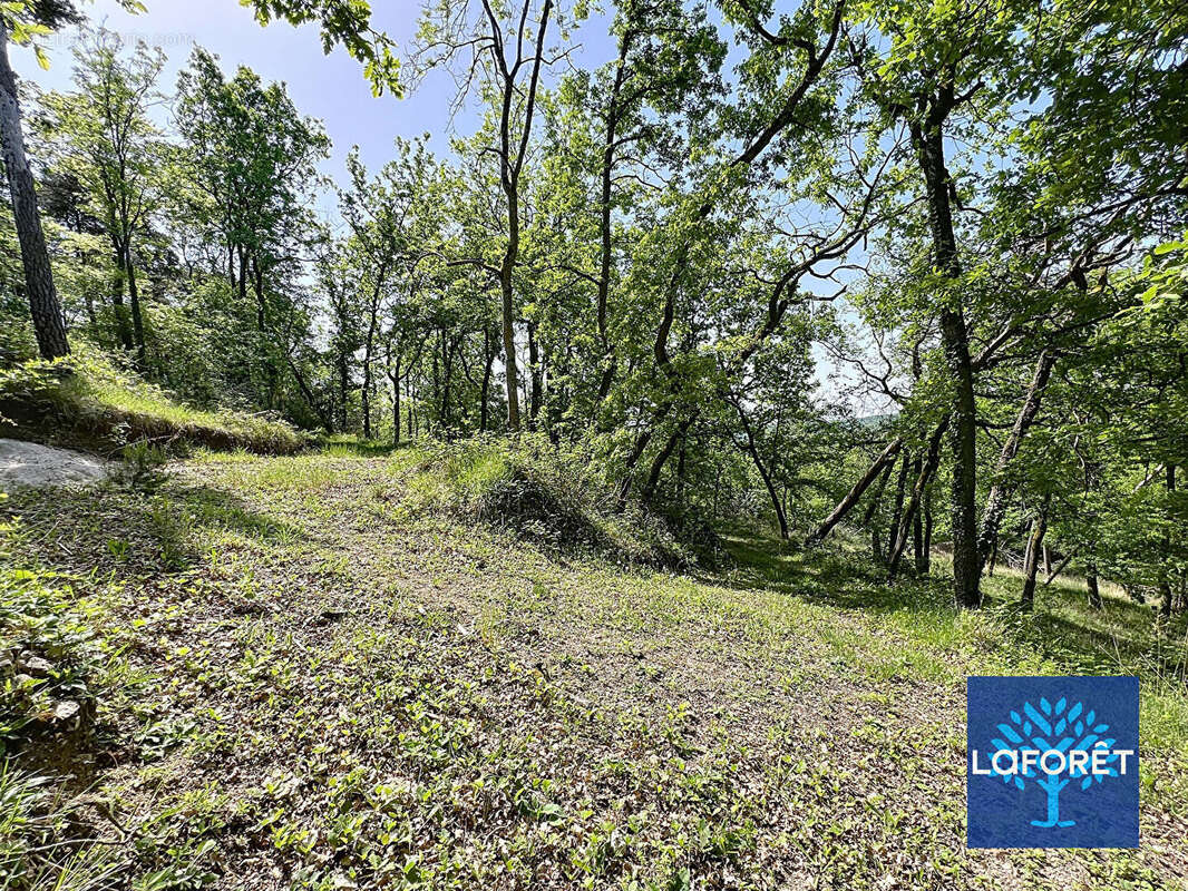Maison à BOUTIGNY-SUR-ESSONNE
