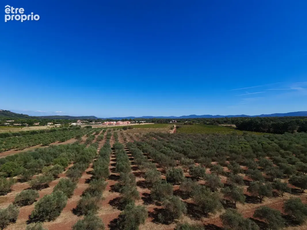 Domaine Saint-Andrieu   Propriété d’exception avec oliveraie biologique à 45 min de Saint-Tropez - photo 12