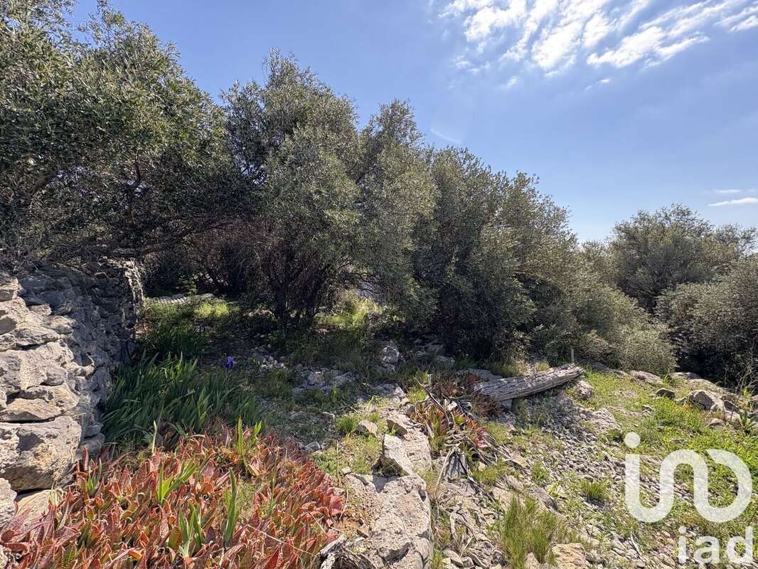 Photo 3 - Terrain à LA PALME