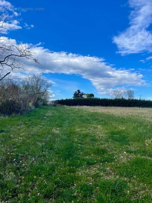 Terrain à LA SALVETAT-BELMONTET