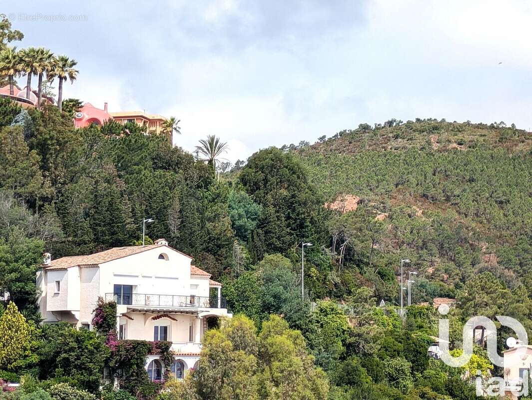 Photo 9 - Appartement à THEOULE-SUR-MER