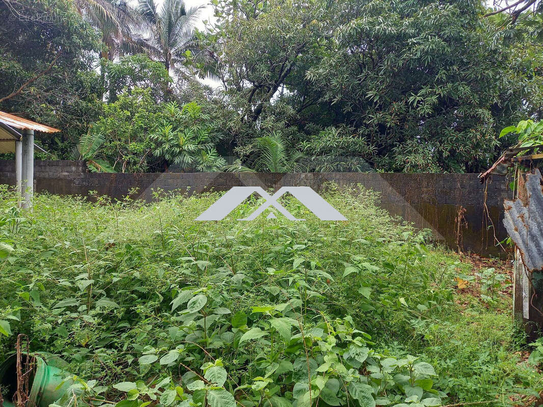 Maison à SAINT-BENOIT