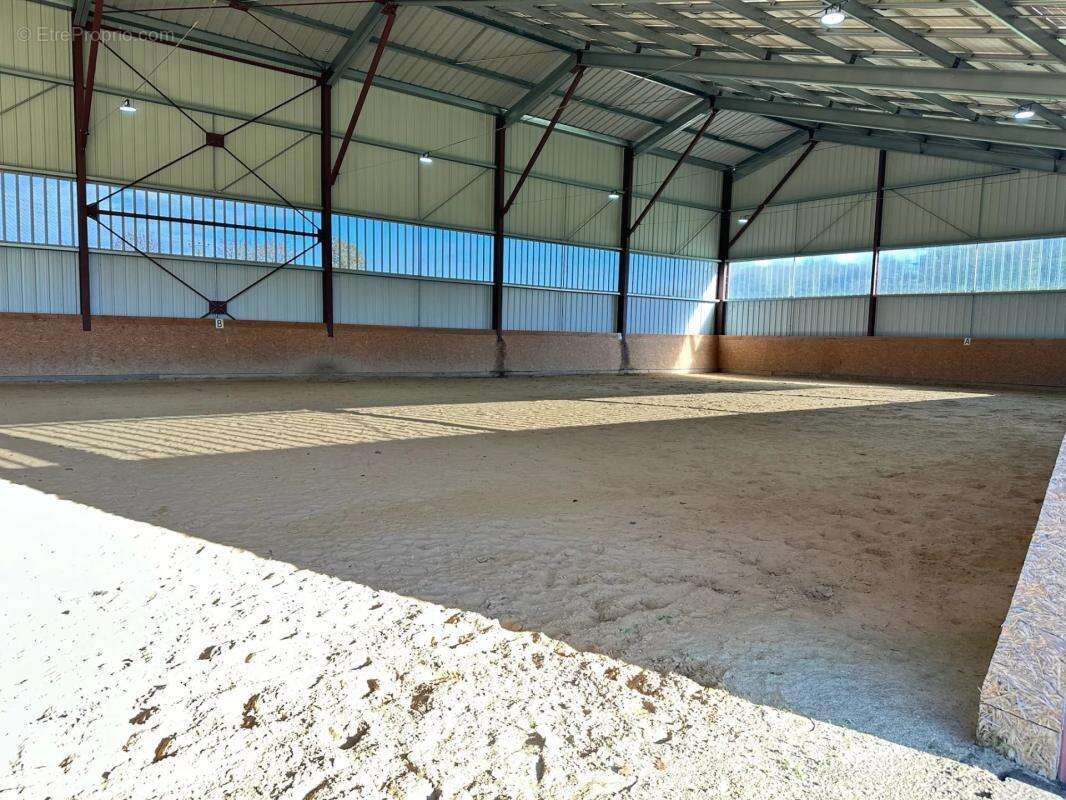 Maison à CHATEAU-DU-LOIR