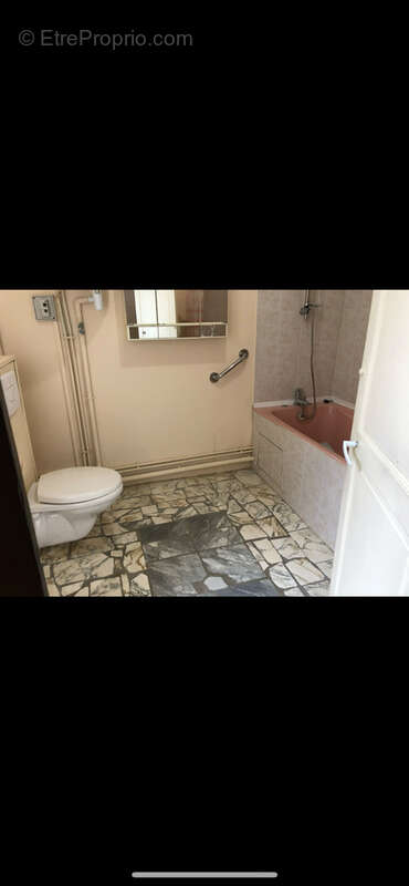 680 m² à La Guerche-Sur-L'aubois  - photo 8