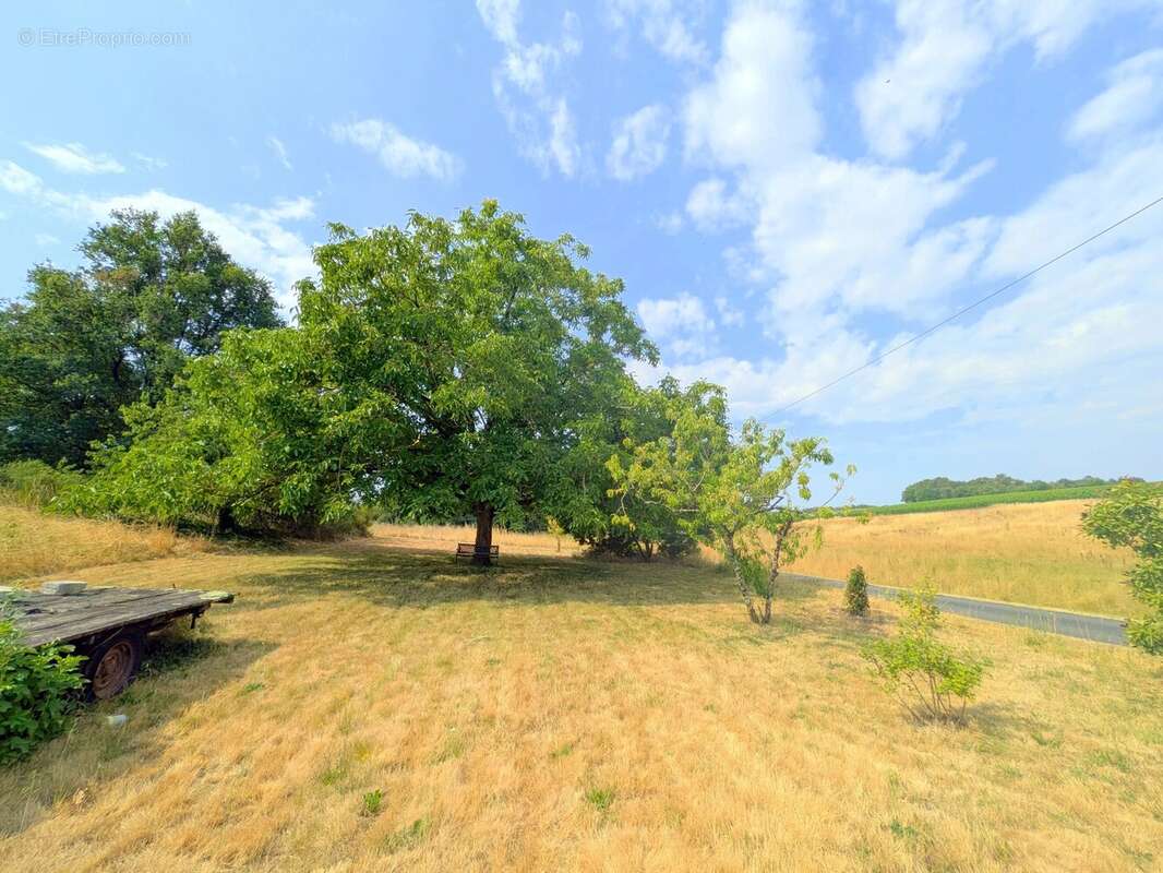 Maison en pierre économe en énergie, dépendances et près de 8 000 m² de terrain - photo 2