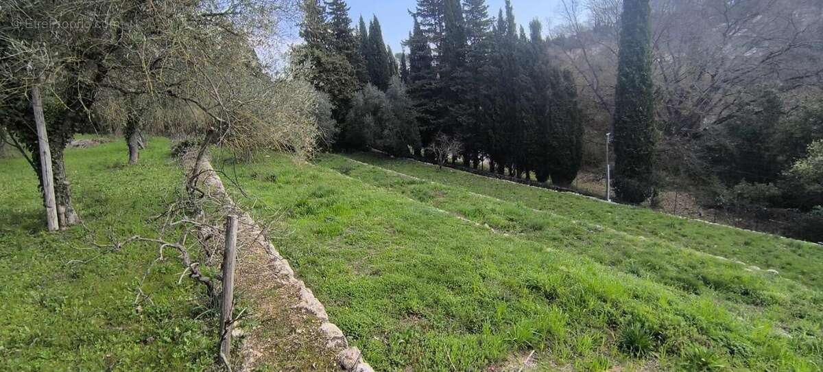 Terrain à VALBONNE