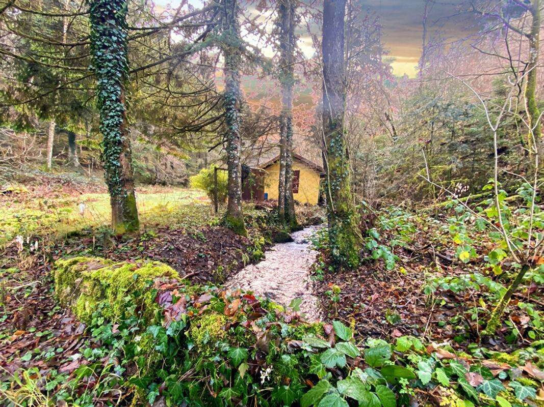 Terrain à WILLER-SUR-THUR