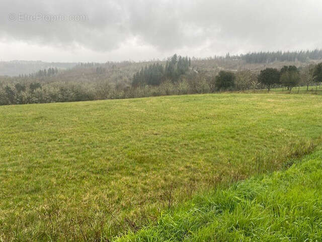 Terrain à LE ROC