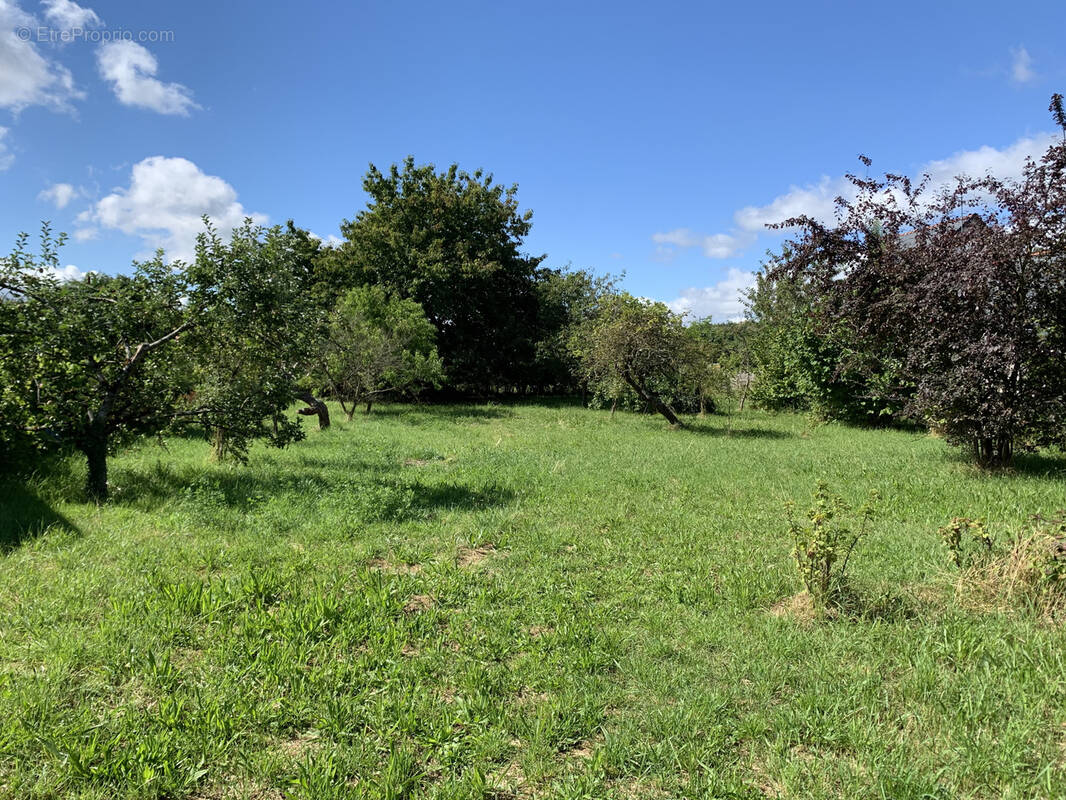 Terrain à THOREE-LES-PINS