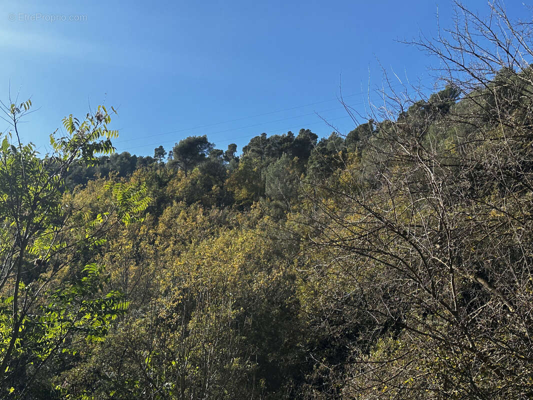 Terrain à L&#039;ESCARENE