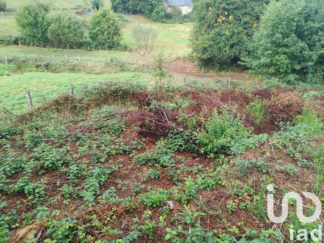 Photo 9 - Maison à SAINT-MARTIN-VALMEROUX