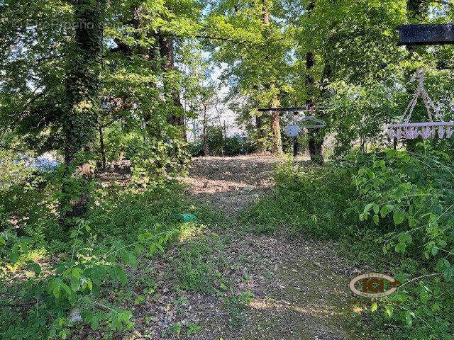 Terrain à VILLE-LA-GRAND