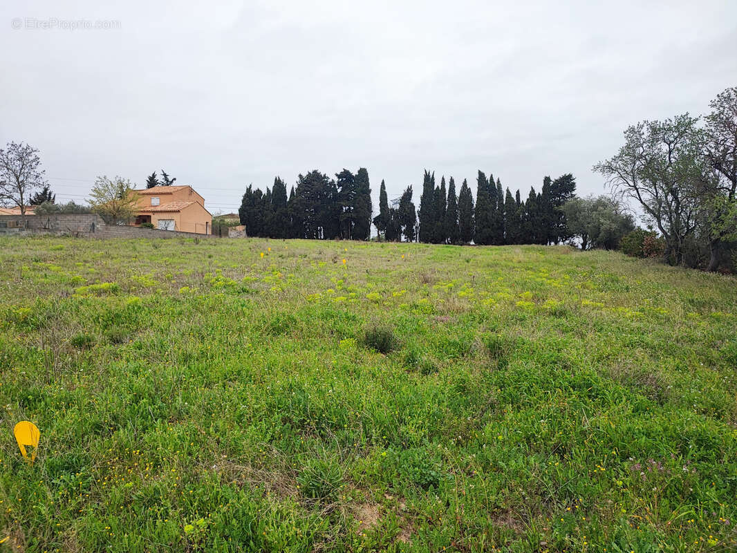 Terrain à CASTELNAU-D'AUDE