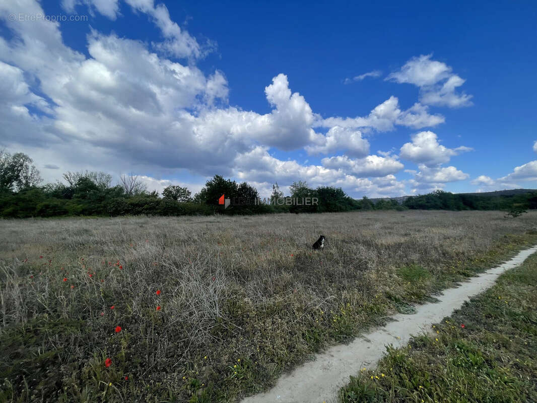Terrain à SAINT-JEAN-PLA-DE-CORTS
