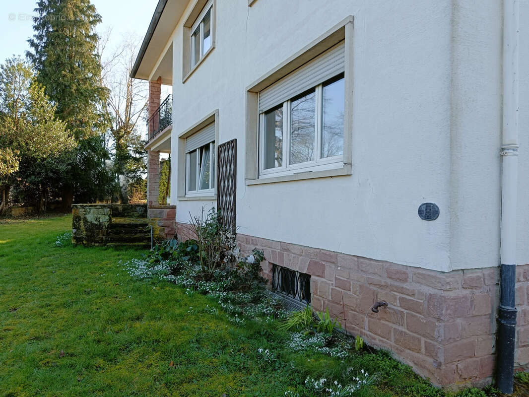 Maison à SAVERNE