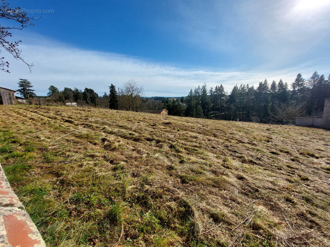 Terrain à MONISTROL-SUR-LOIRE