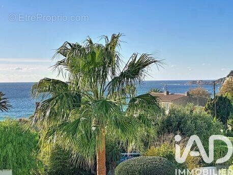 Photo 1 - Appartement à SANARY-SUR-MER