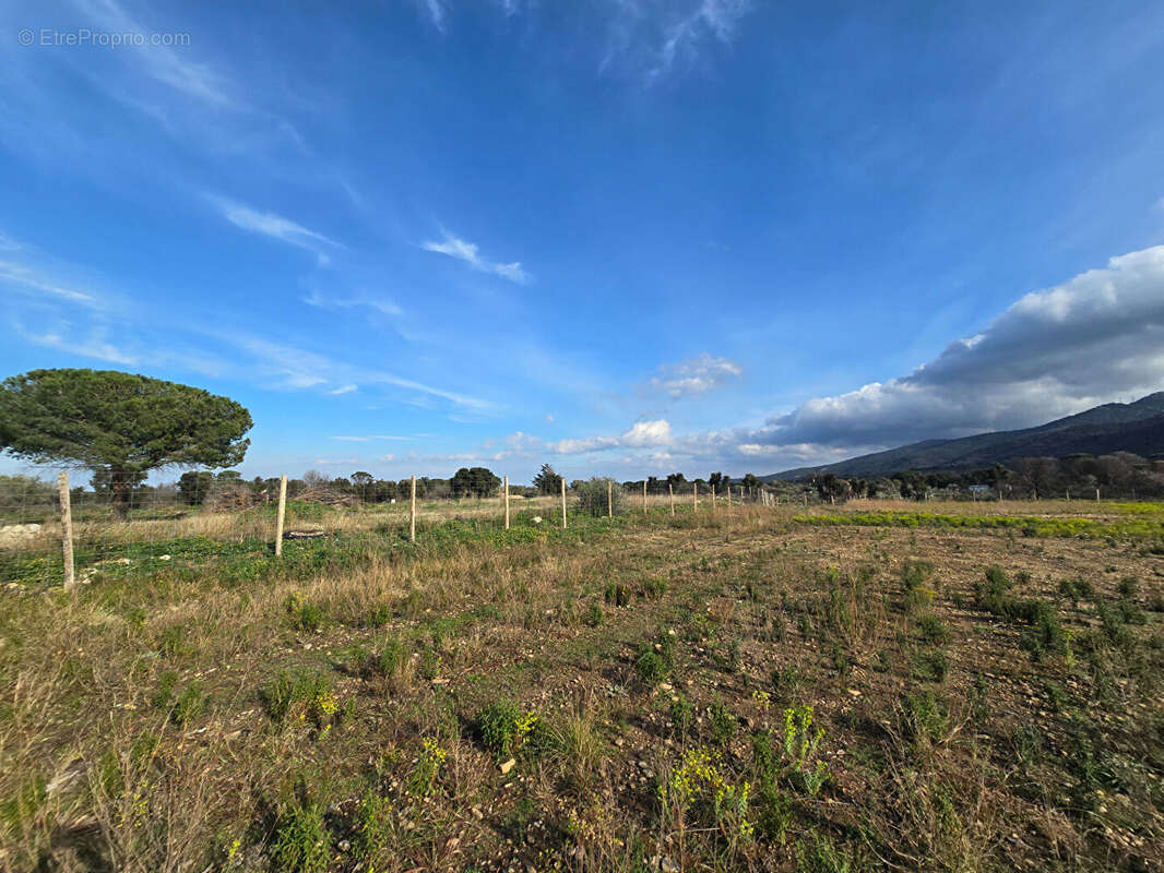 Terrain Argeles Sur Mer 44784 m2 - photo 9