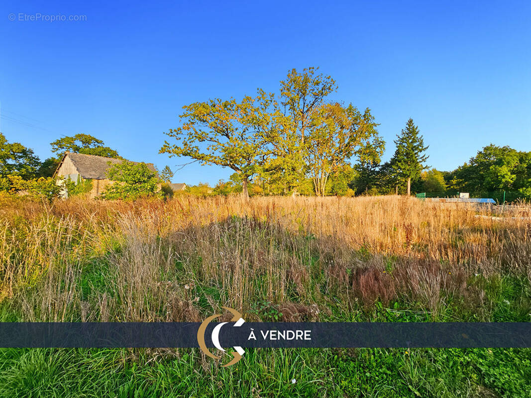 Terrain à CHAUVIGNE