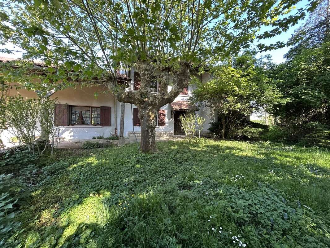 Maison à CONDEISSIAT