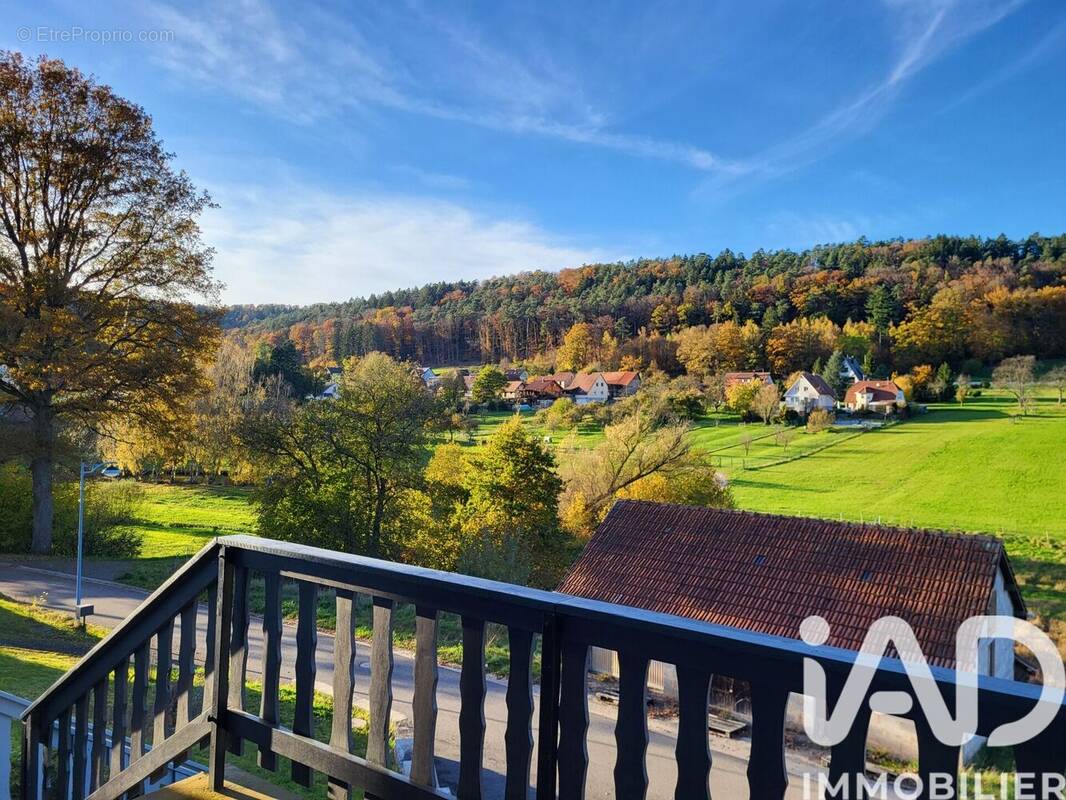 Photo 1 - Maison à ZITTERSHEIM