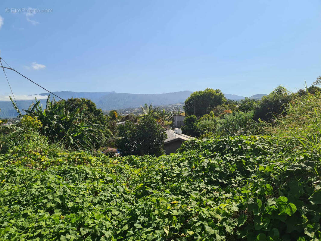 Terrain à LE TAMPON