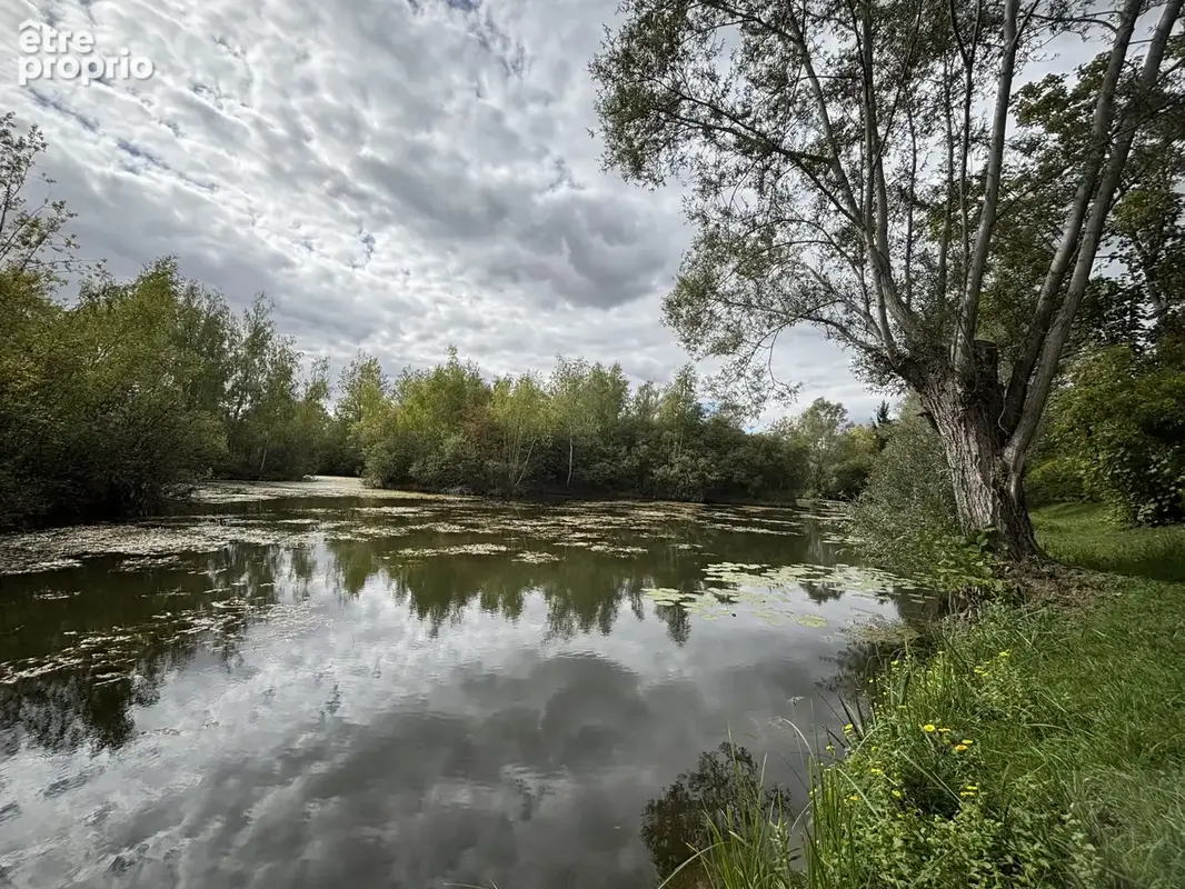 Terrain de loisirs de plus de 3 hectares à argœuves - photo 3