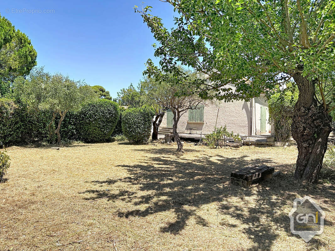 Maison de Type 7 avec jardin. - photo 4
