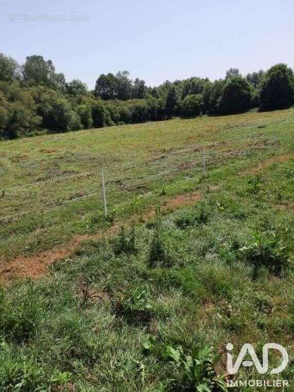 Terrain 61200 m² à Coetlogon  - photo 3