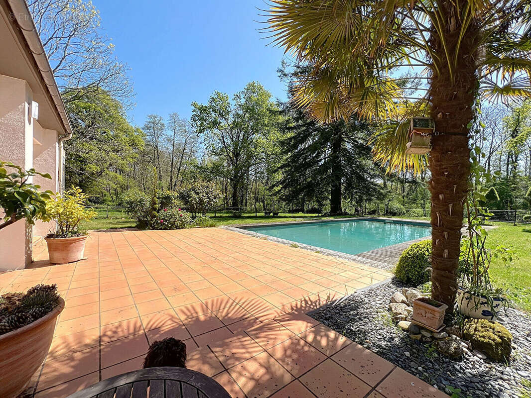 Maison à VENANSAULT