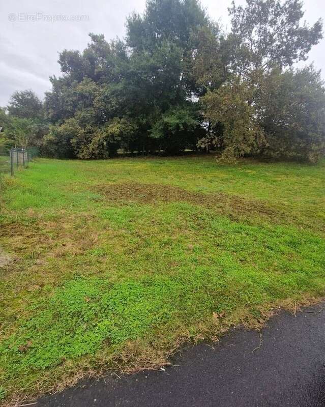 Terrain Ychoux 900M² - photo 2