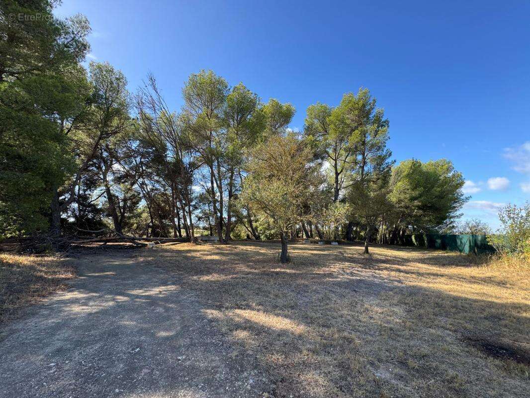 Propriété 179m² avec piscine - 23000m² de terrain - photo 8