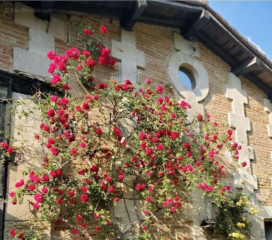 Maison à TIZAC-DE-LAPOUYADE