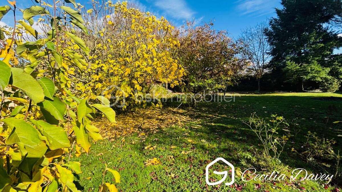 Maison à VILLENEUVE-SUR-YONNE