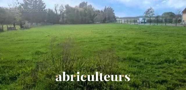 Terrain à FREVILLE-DU-GATINAIS