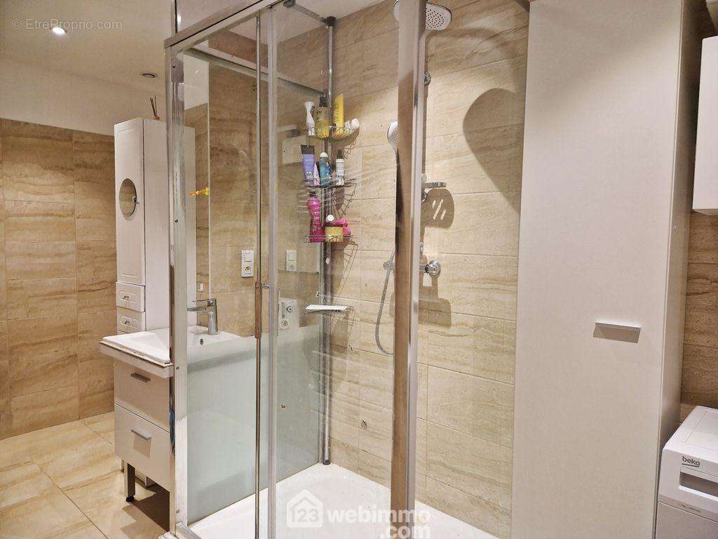 Une spacieuse salle de douche complète ce bien. - Appartement à ALBERTVILLE