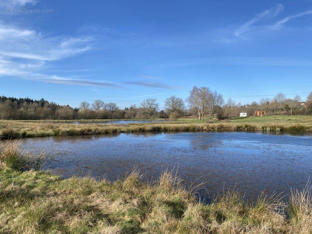 Terrain à NEUVIC-ENTIER