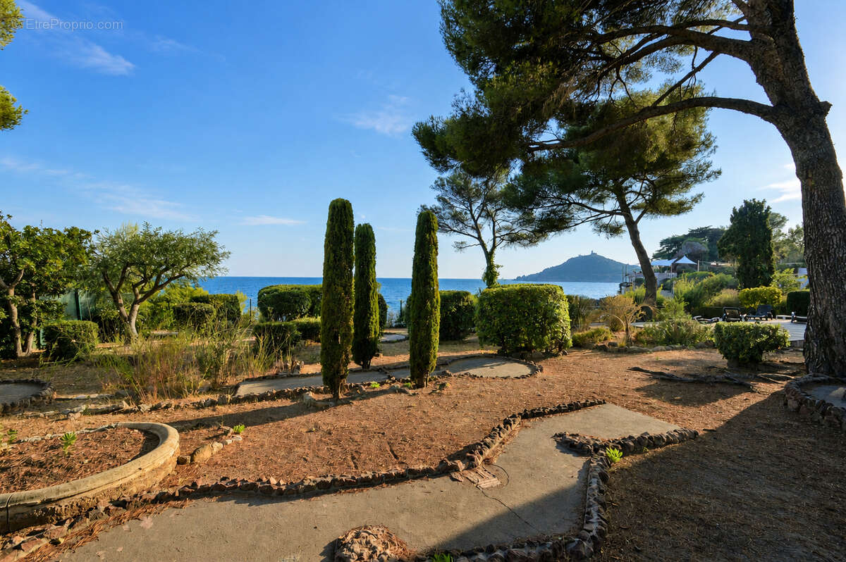 Vue mer panoramique - photo 11