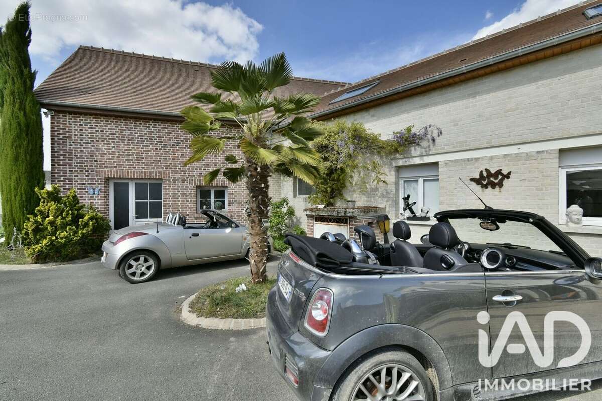 Photo 4