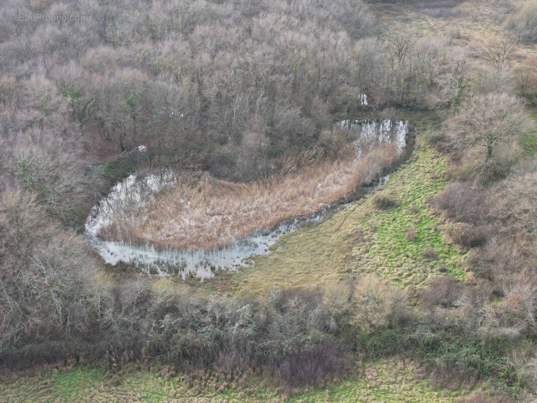 Terrain à LYS-SAINT-GEORGES