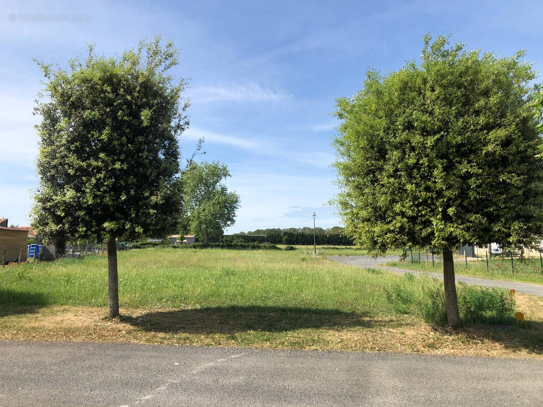 Terrain à CHOUPPES
