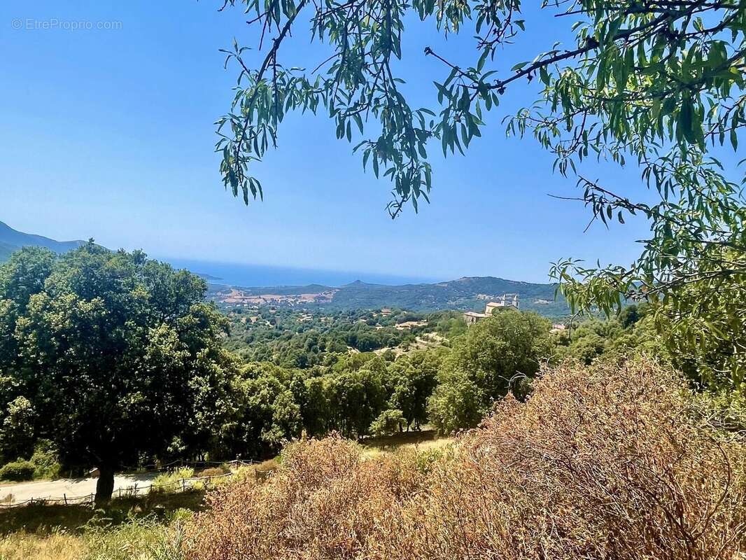 Maison à SARI-D&#039;ORCINO