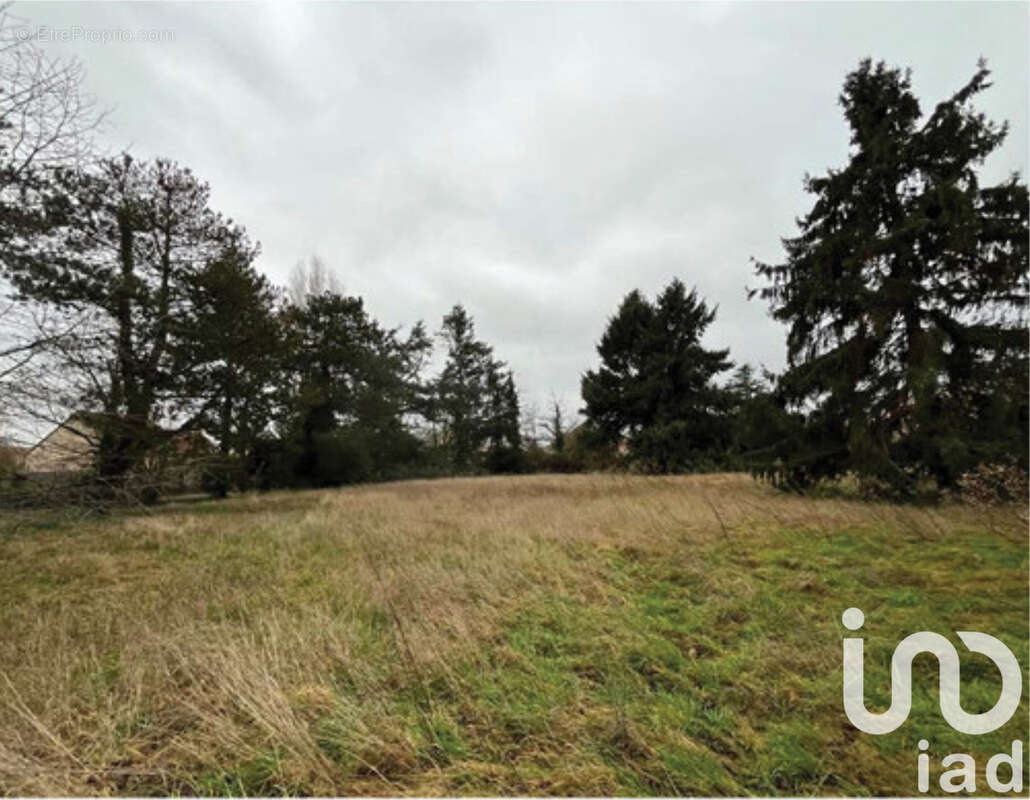 Photo 3 - Terrain à CHAMPCUEIL