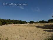 Terrain à ASSAS