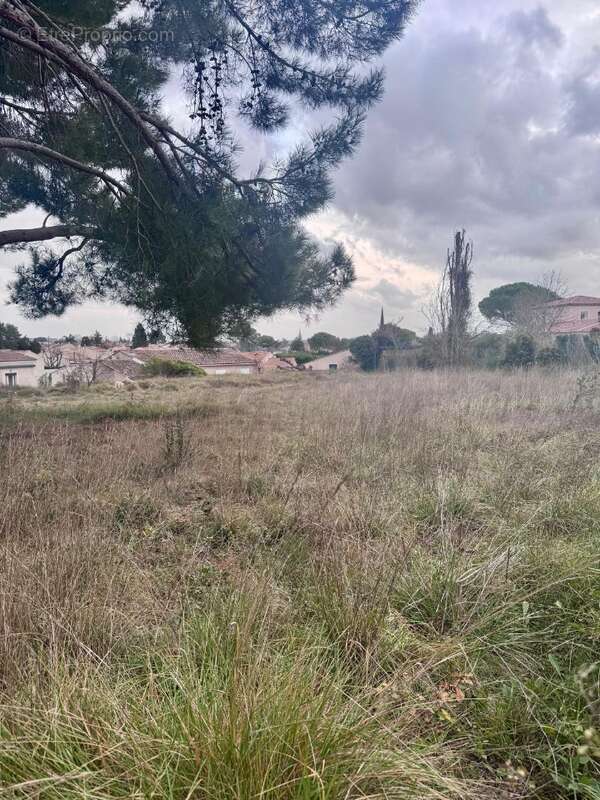 Terrain à PELISSANNE