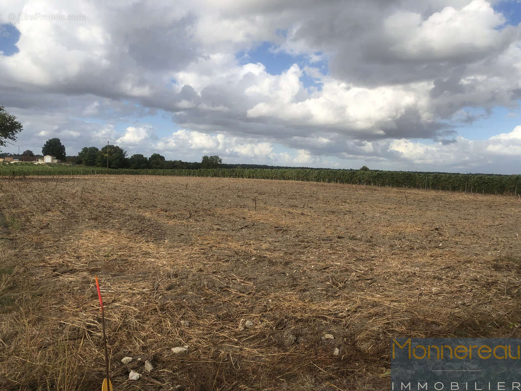 Terrain à SAINT-MAIGRIN