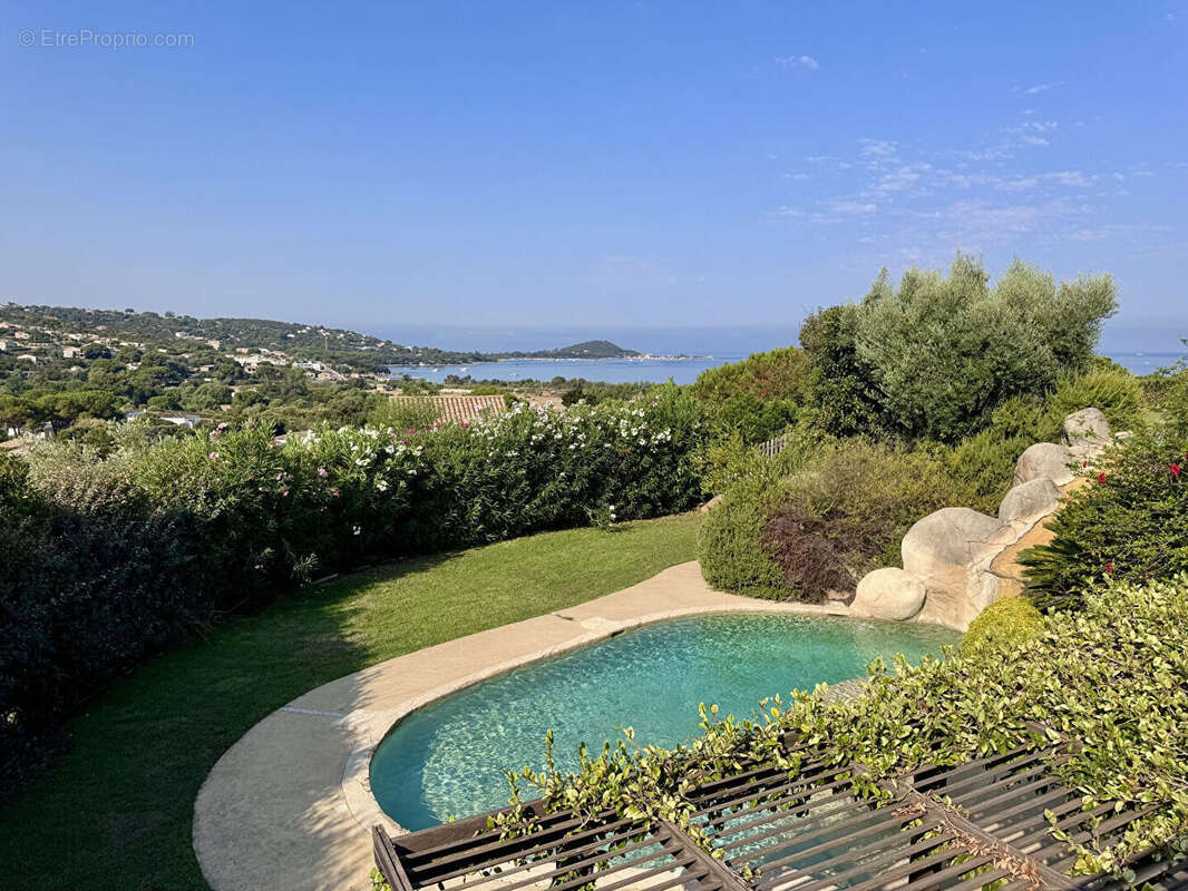 Maison à ALBITRECCIA