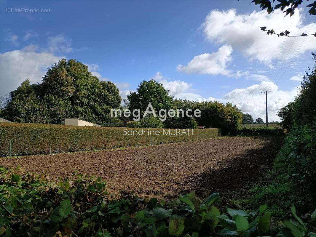 Terrain constructible - gandelain - photo 3