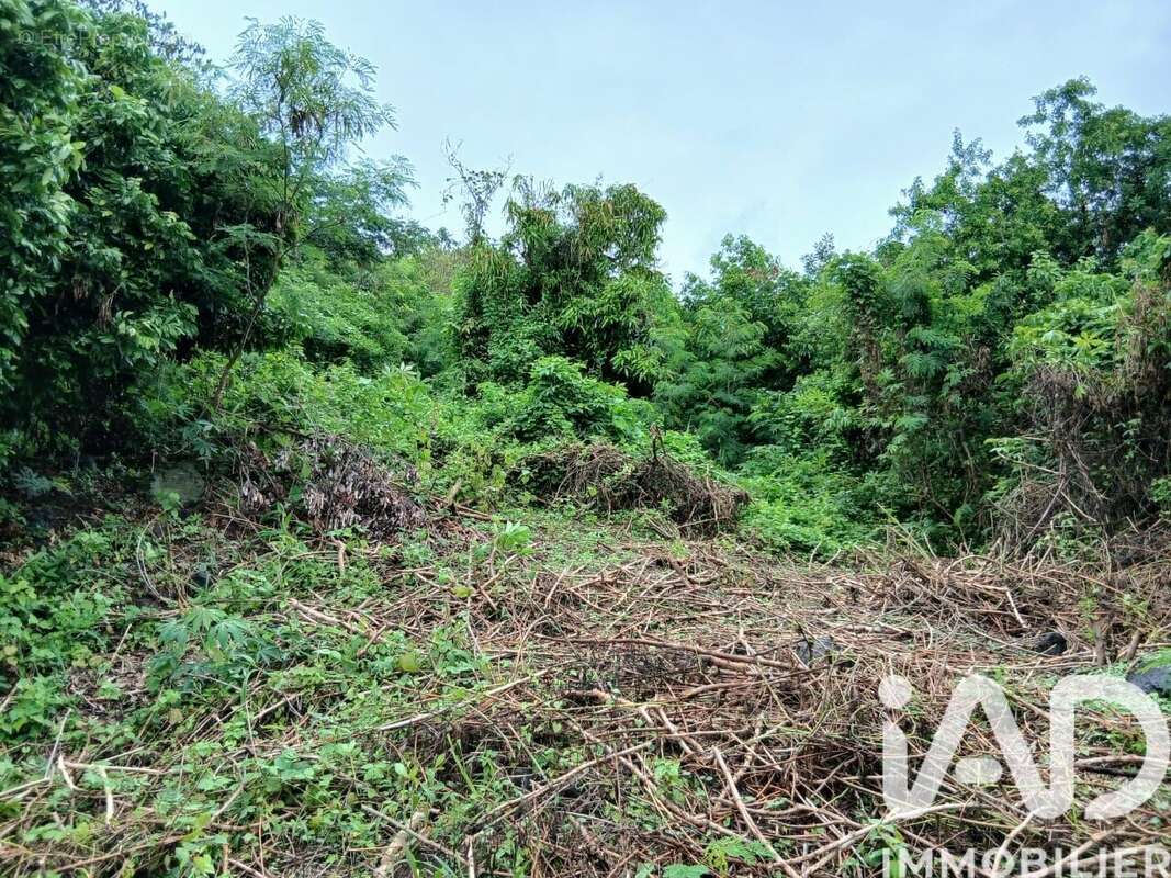 Photo 8 - Terrain à SAINT-PAUL