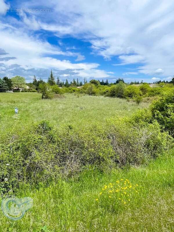 Terrain à SAINT-CHRISTOL